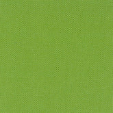 Devonstone Solids 134 CORAL GREEN